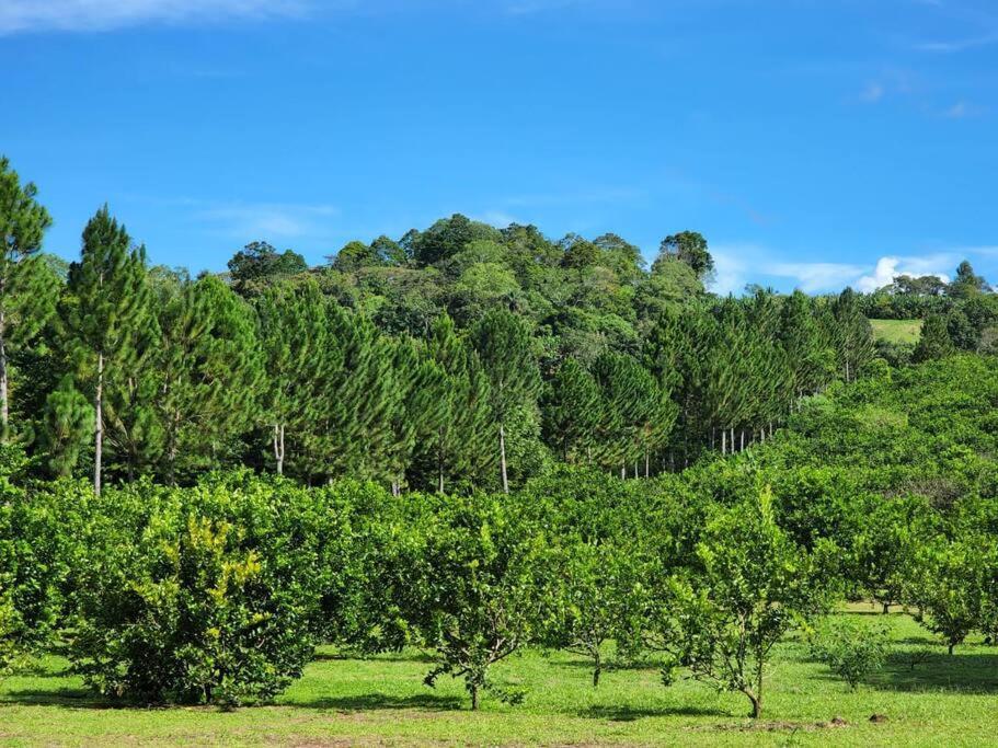 Hospedaje Finca Agroturistica Dona Rufa Rio Sereno Exterior foto