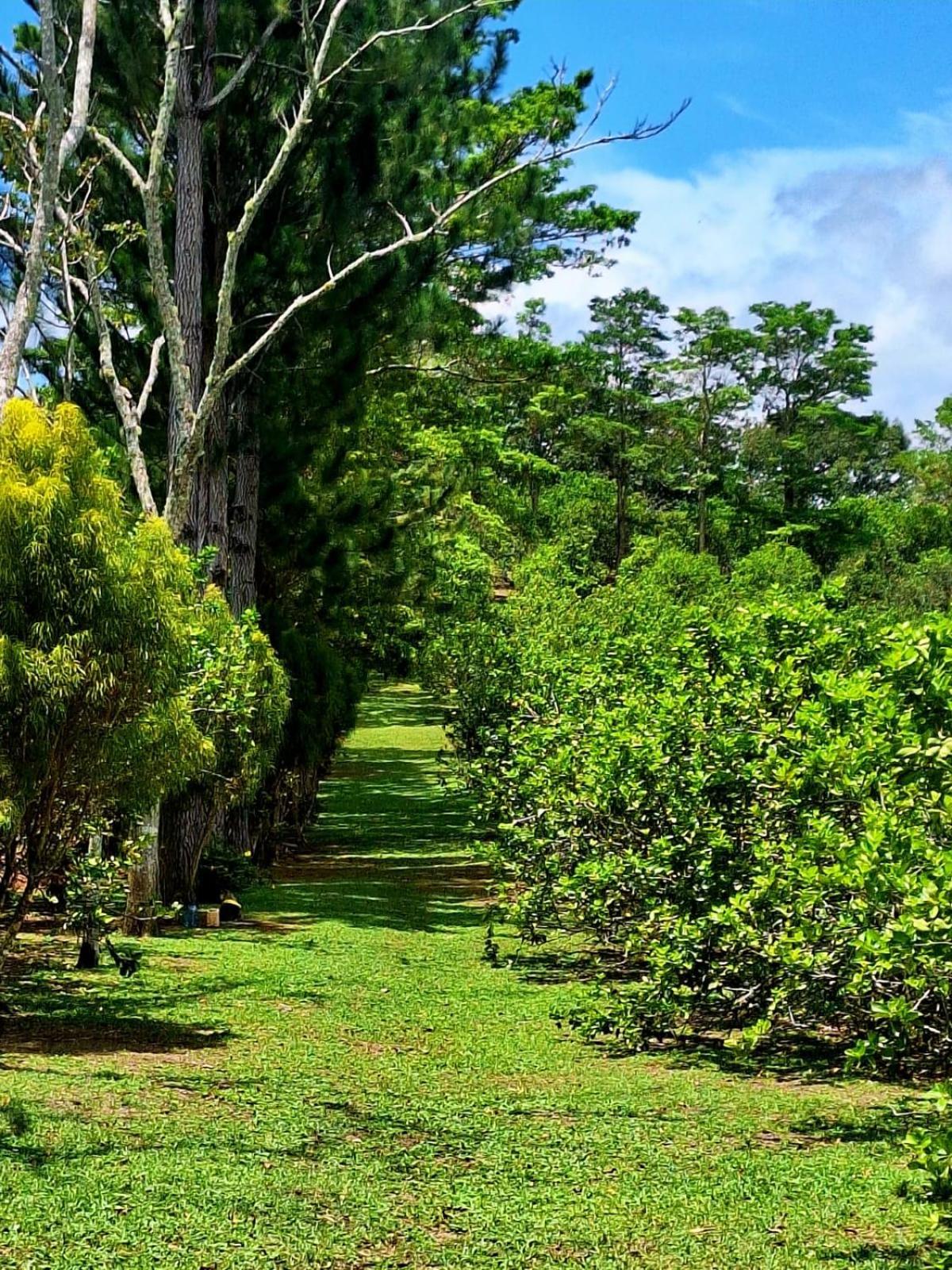 Hospedaje Finca Agroturistica Dona Rufa Rio Sereno Quarto foto